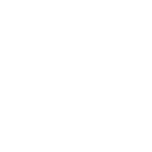 NTP logo