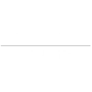 fitness lounge basel logo